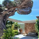 La Baie Des Anges