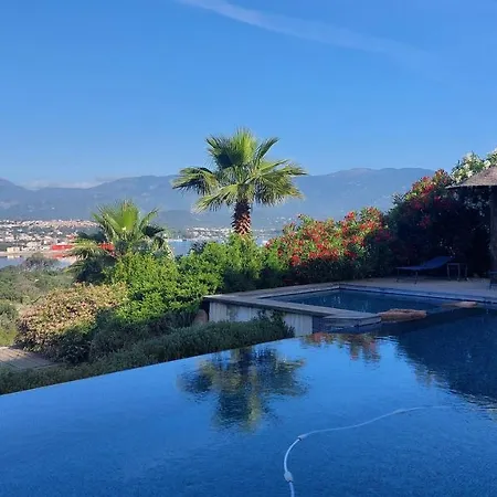 La Baie Des Anges Villa